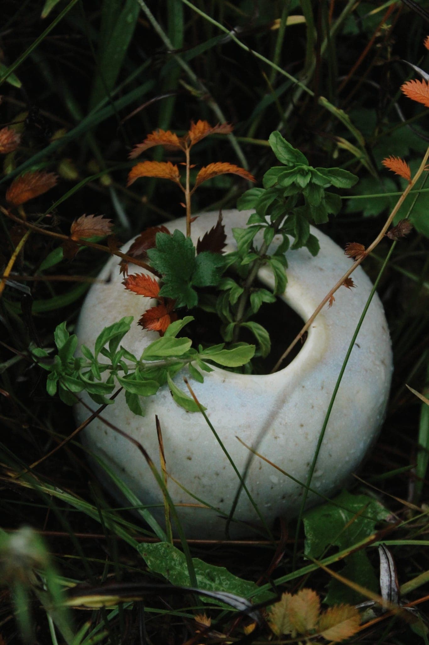 Nature influences