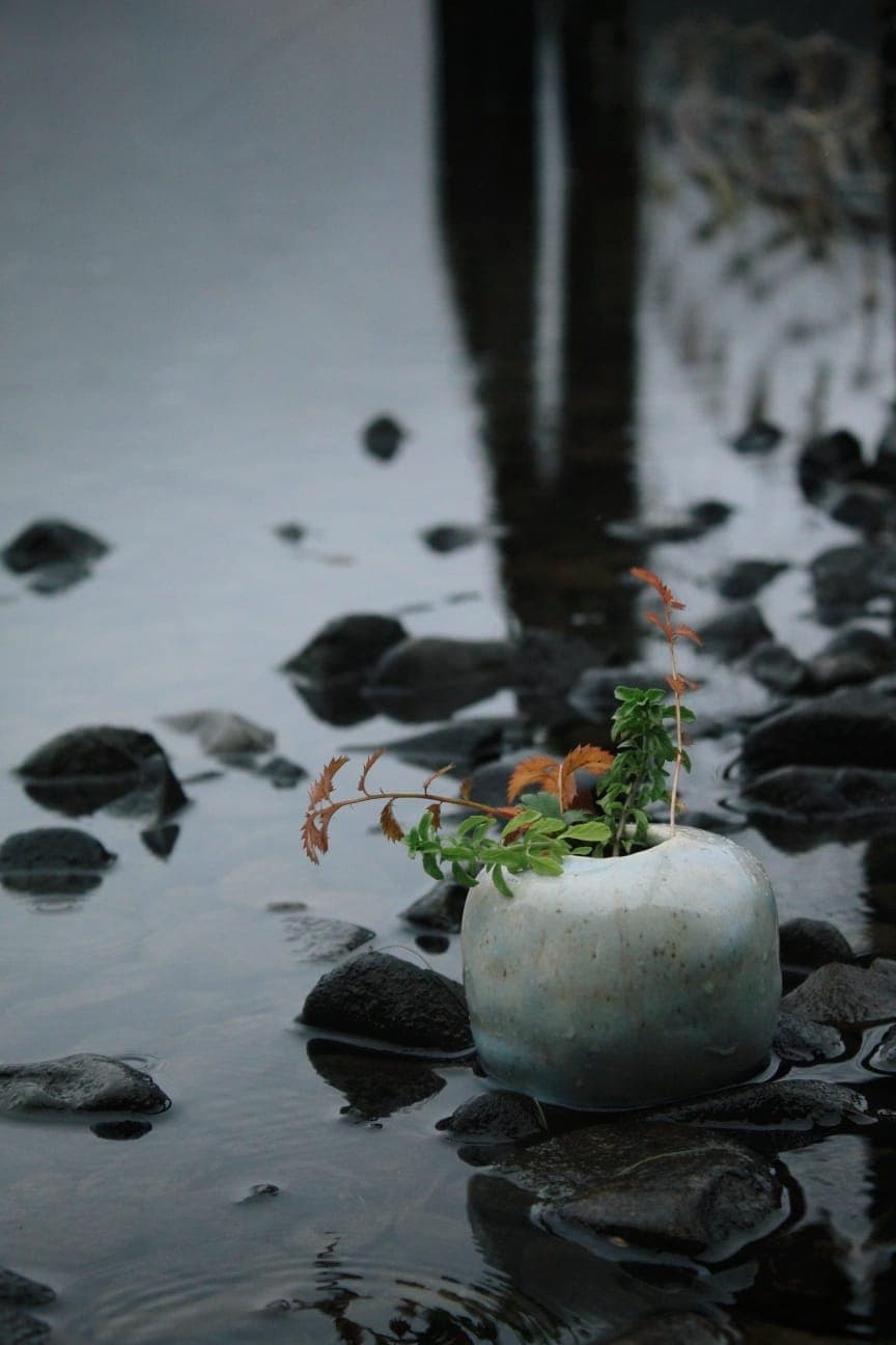 Quiet reflections